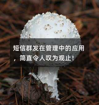 ȺڹеӦãֱ̾Ϊֹ!
