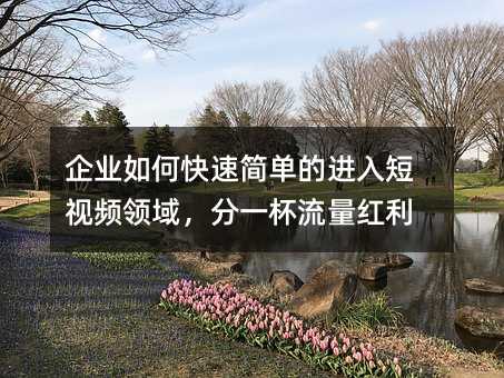 企业如何快速简单的进入短视频领域,分一杯流量红利