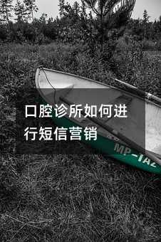 ��ǻ������ν��ж���Ӫ��