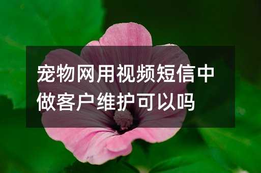 宠物网用视频短信中做客户维护可以吗