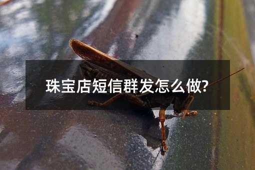 鱦Ⱥô?