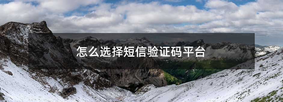 怎么选择短信验证码平台