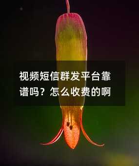 视频短信群发平台靠谱吗?怎么收费的啊