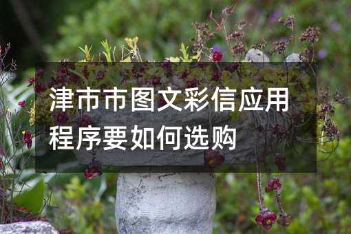 津市市图文彩信应用程序要如何选购