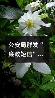 公安局群发“廉政短信”,助力民警防腐拒腐