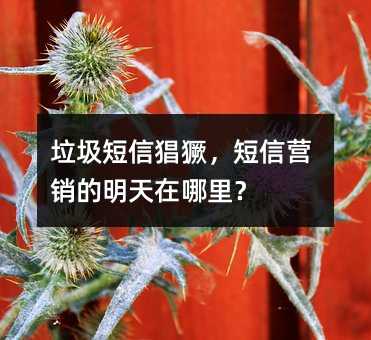 垃圾短信猖獗,短信营销的明天在哪里?