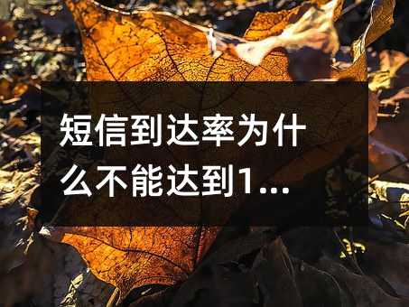 ŵΪʲôܴﵽ100%?