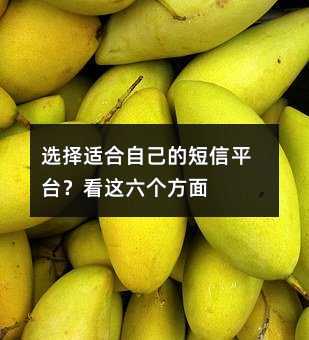 ѡʺԼĶƽ̨