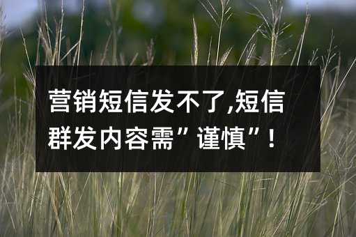 Ӫŷ,Ⱥ衱!