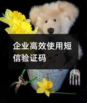 ҵЧʹö֤