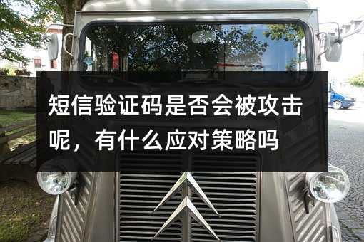 短信验证码是否会被攻击呢,有什么应对策略吗