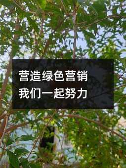 ӪɫӪ һŬ