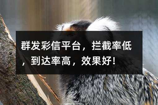 Ⱥ������ƽ̨�������ʵͣ������ʸߣ�Ч���ã�