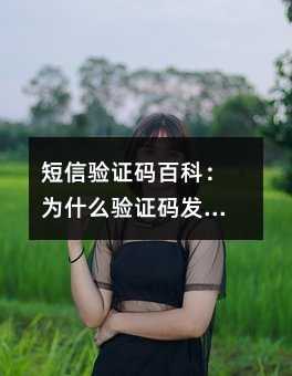 ֤ٿƣΪʲô֤뷢ȥղأ