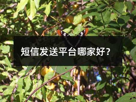 ŷƽ̨ļҺã