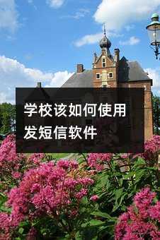 ѧУʹ÷