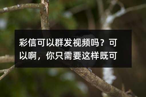 ſȺƵ𣿿԰ֻҪȿ