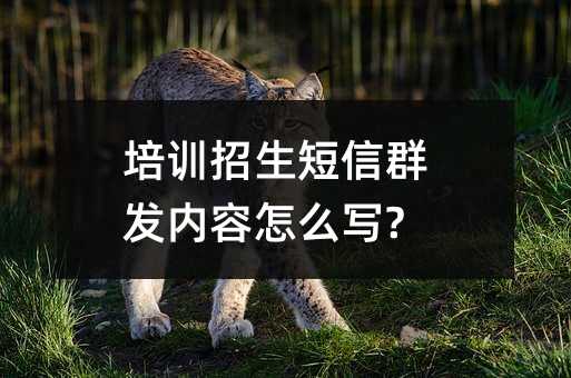 ѵȺôд?