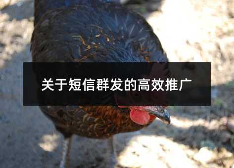 ڶȺĸЧƹ