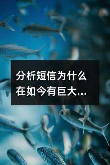 Ϊʲôо޴