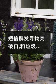 ȺѰͻƿ,˵NO!