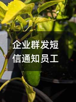 企业群发短信通知员工