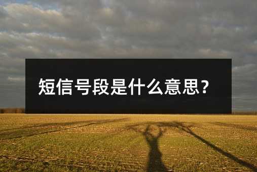 źŶʲô˼
