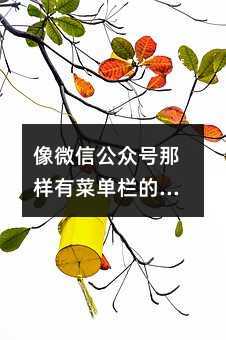 ΢Źںв˵ĶţԶƣ