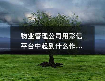 ҵ˾òƽ̨ʲôã