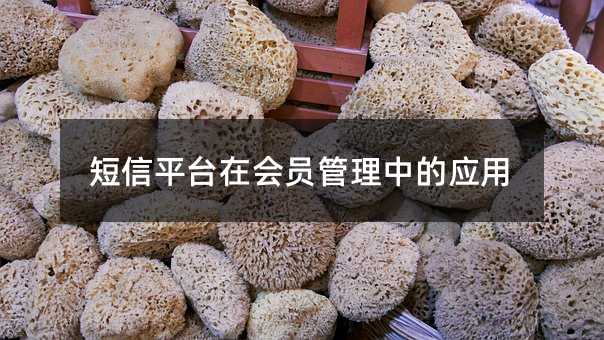 ƽ̨ڻԱеӦ