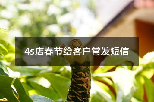 4s괺ڸͻ