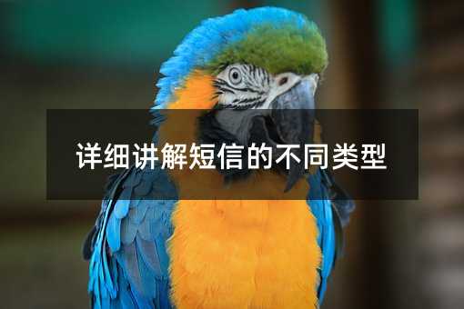 ϸŵĲͬ