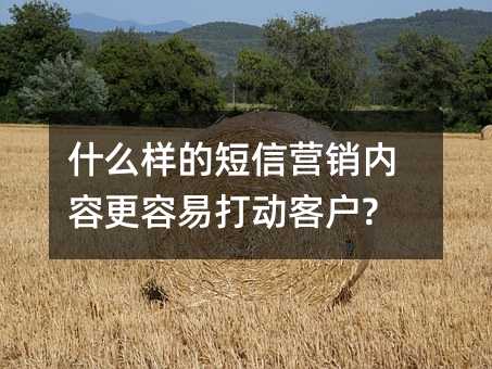 ʲôĶӪݸ״򶯿ͻ?