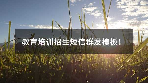 ѵȺģ壡