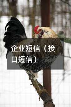 ҵţӿڶţ