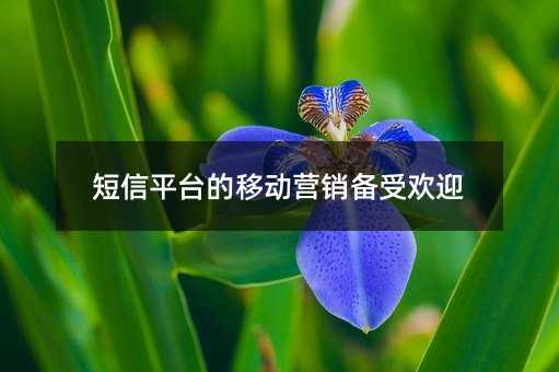 ƽ̨ƶӪܻӭ