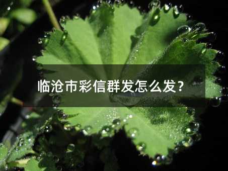 ٲвȺô