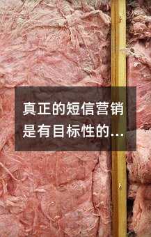 ĶӪĿԵĸ׼ͻȺ