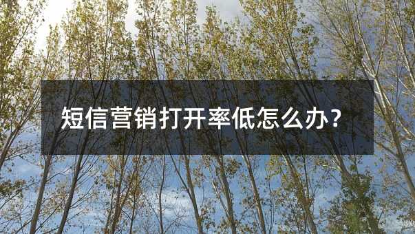 Ӫʵô죿