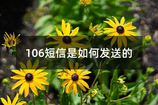 106��������η��͵�