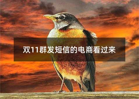 ˫11Ⱥŵĵ̿