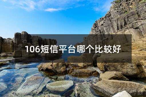 106ƽ̨ĸȽϺ