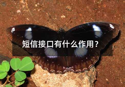 Žӿʲôã