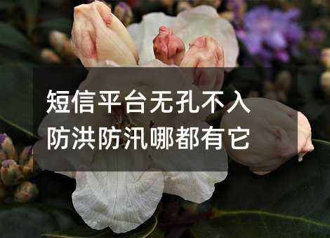 ƽ̨޿ײ ѴĶ