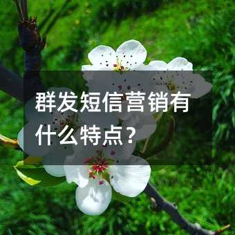 ȺӪʲôص㣿