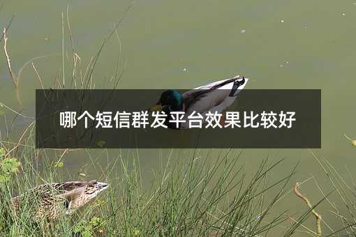 ĸȺƽ̨ЧȽϺ
