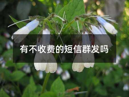 вշѵĶȺ