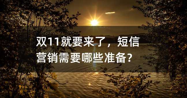 ˫11ҪˣӪҪЩ׼