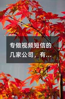 专做视频短信的几家公司,有哪些?