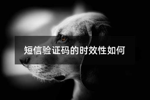 ֤ʱЧ
